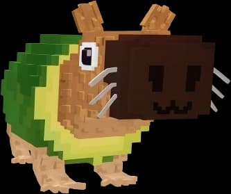 Pipi Avocado