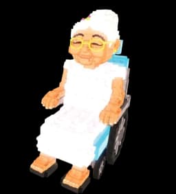 Wheelchair Granny