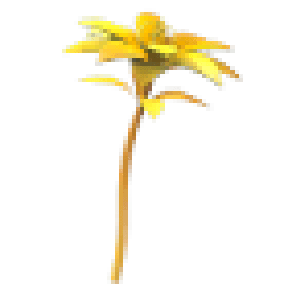 Golden Petunia