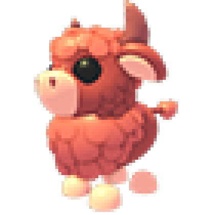 Angus Bull