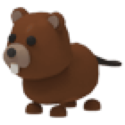 Beaver