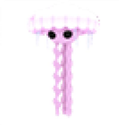 Jellyfish