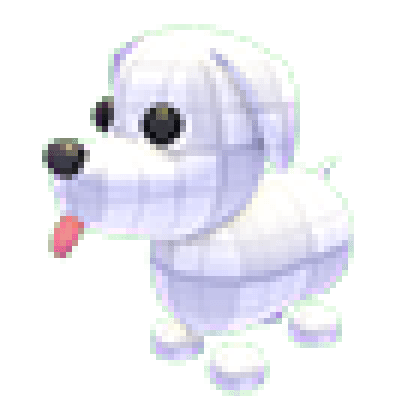 Practice Dog