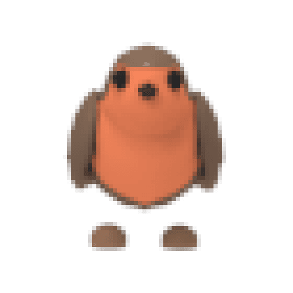 Robin