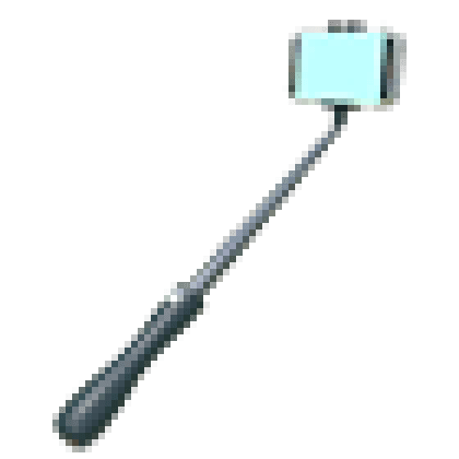 Selfie Stick