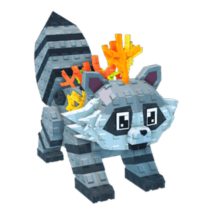 Reef Raccoon