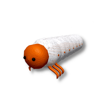 Beetle Grub