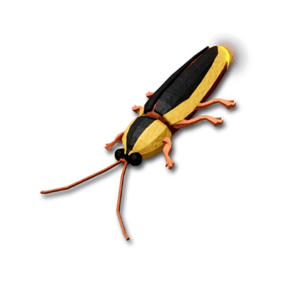 Firefly