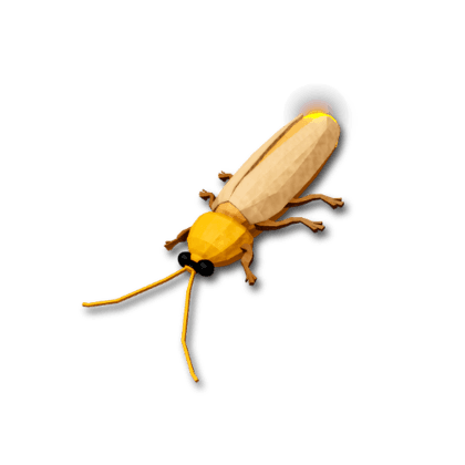 Gombak Bent-Winged Firefly
