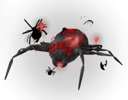 Spider