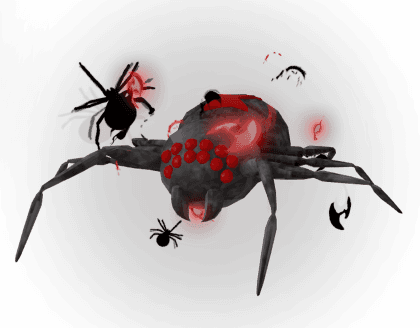 Spider