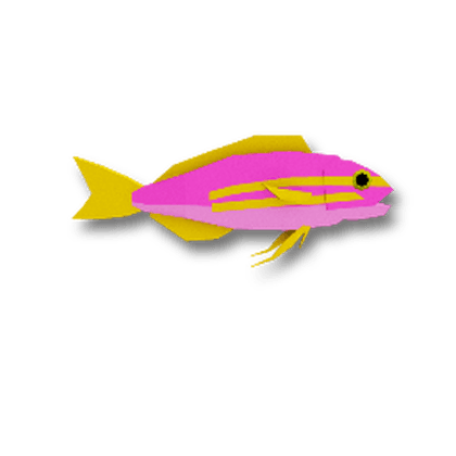 Aphrodite Anthias