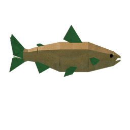 Carrot Salmon