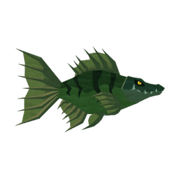 Crocokoi