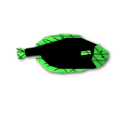 Franken-Flounder
