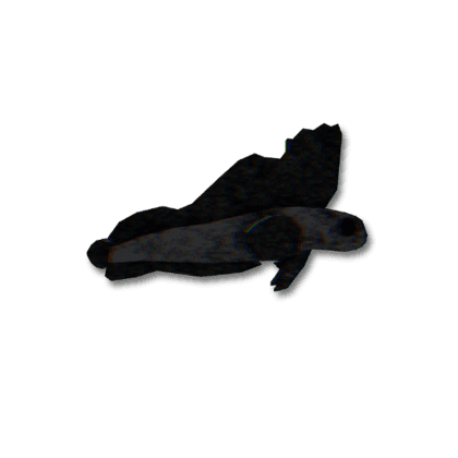 Gargoyle Goby