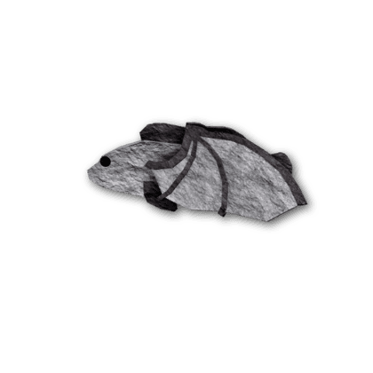 Gargoyle Grouper