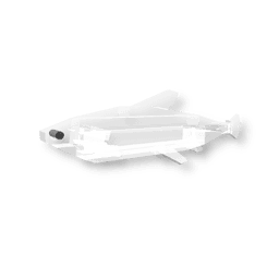 Ghost Minnow