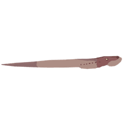 Giant Lamprey