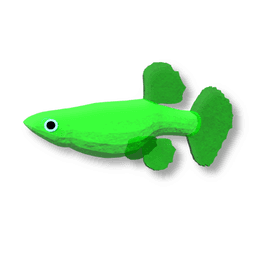 Gummy Guppy