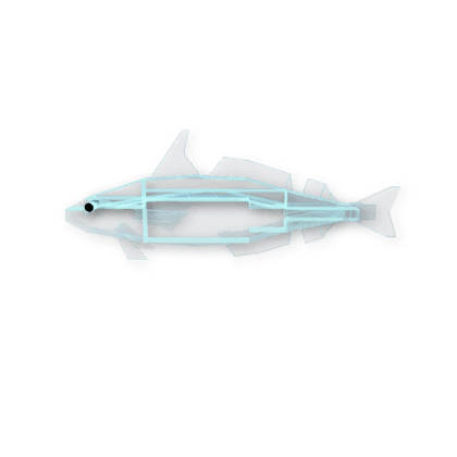 Haunted Haddock