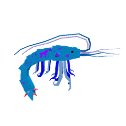 Mutated Crystal Shrimp
