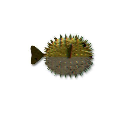 Pumice Puffer