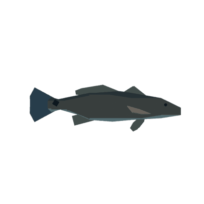 Red Drum