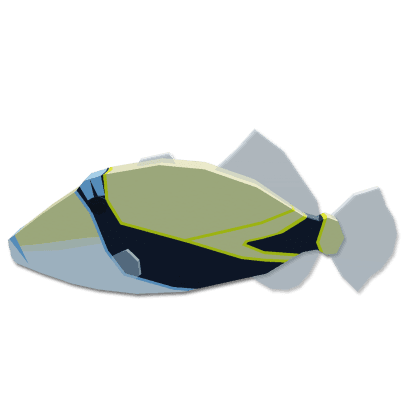Reef Triggerfish