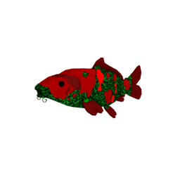 Roseveil Koi
