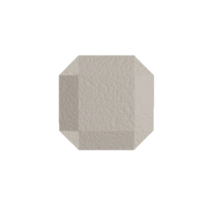Sand Dollar