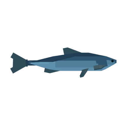 Sardine