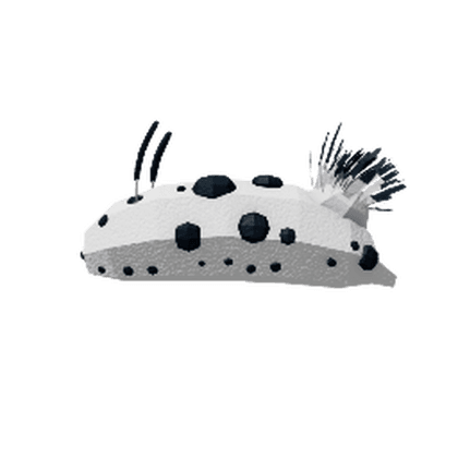 Sea Bunny