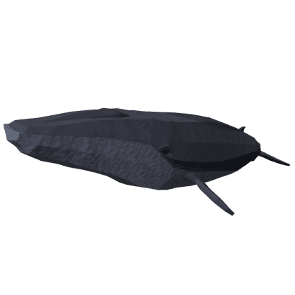 Sei Whale