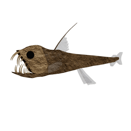 Sloane's Viperfish