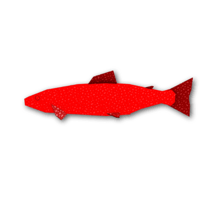 Sour Patch Salmon