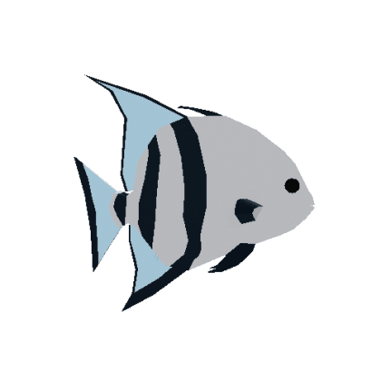 Spadefish