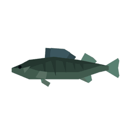 Walleye