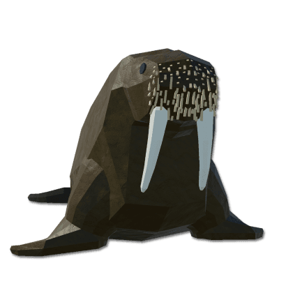 Walrus