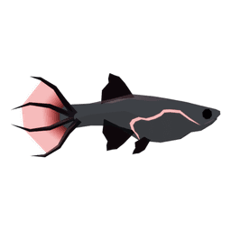 Wretched Guppy