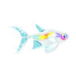 X-ray Tetra