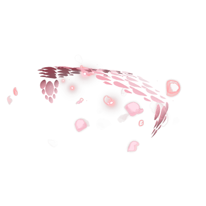Sakura Soarer