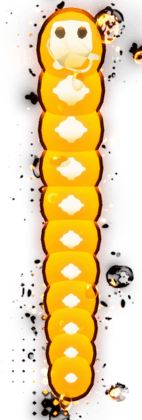 Ghouly Orange