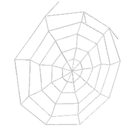 Cobweb