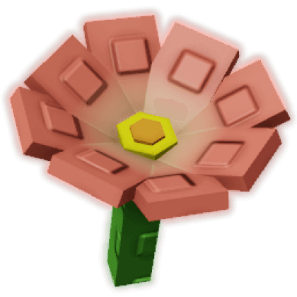 Crown of Thorns