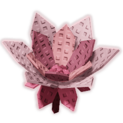 Cyclamen