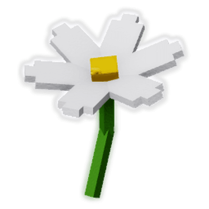 Daisy