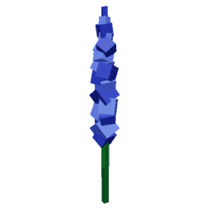Delphinium