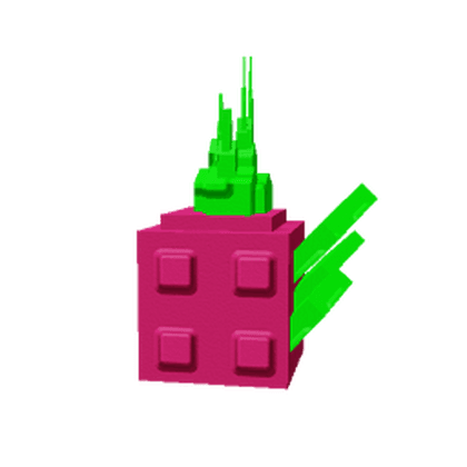 Dragon Fruit