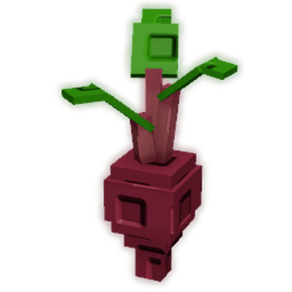Evo Beetroot II